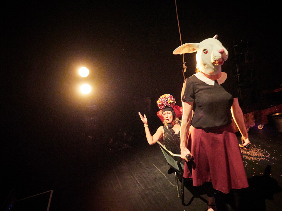 Das Dschungelbuch Nach Dem Roman Von Rudyard Kipling Fur Erwachsene Und Kinder Ab 8 Jahren D Haus Dusseldorfer Schauspielhaus Junges Schauspiel Burgerbuhne